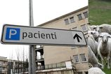 Laboratorne testy potvrdili pripady Q horucky v Raztocne