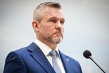 Lekari odborari pisu Petrovi Pellegrinimu Ziadaju o zachranu lozok pre dlhodobo chorch v Podunajskch Biskupiciach