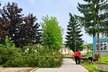Silna vetrna smrst zasiahla Povazsku Bystricu Mesto hlasi mnozstvo zlomenych stromov