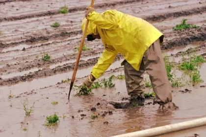 El Niño ohrozuje milióny detí v Latinskej Amerike, hrozia suchá a povodne