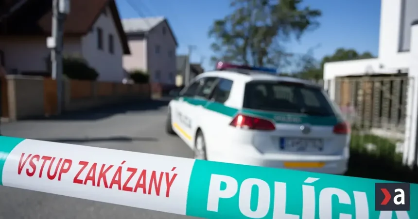 Analytik určil kľúčové zlyhanie, ktoré vyústilo do dvojnásobnej vraždy v Staškove