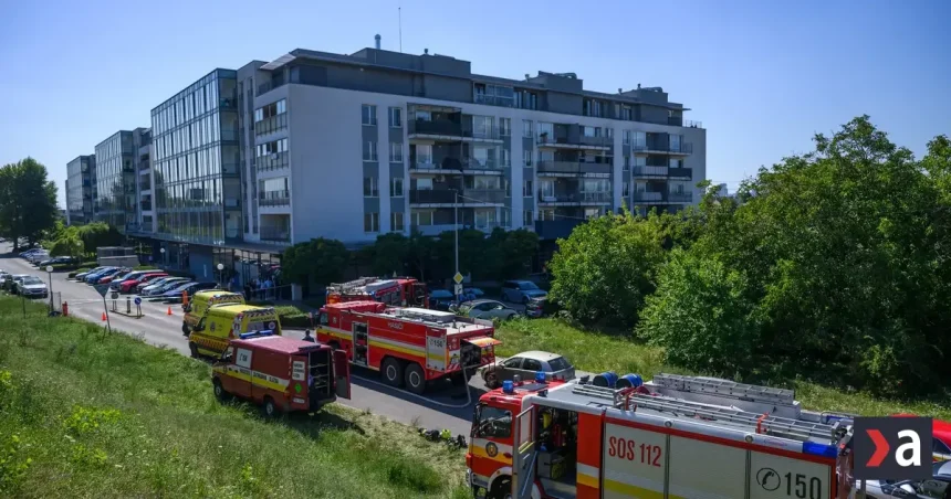 Ružinovská tragédia: Ivanu F. poslali za vraždu dvoch detí na 19 rokov